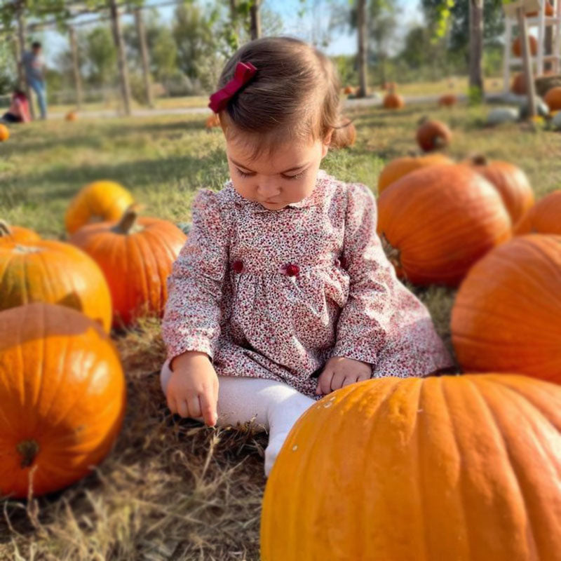 Doppio Fiocco Gros Grain 6 cm Piatto