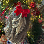 Fiocco Grande in Velluto 10cm